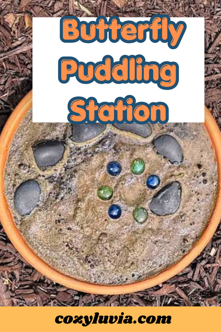 The Butterfly Puddling Station: Why Butterflies Need More Than Just Flowers